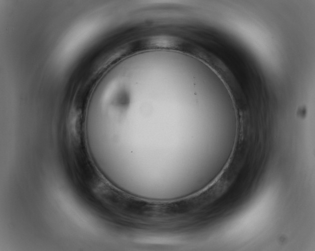 X0000101681438200807241335