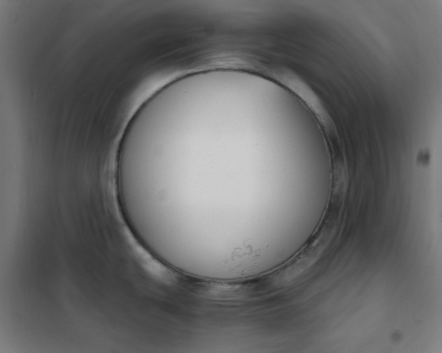 X0000101681439200807241335