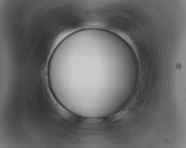 X0000101681440200807241335