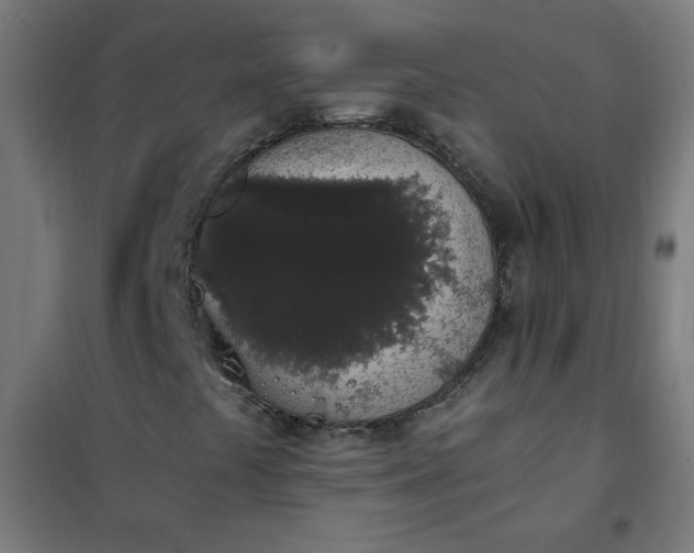 X0000101681441200807241335