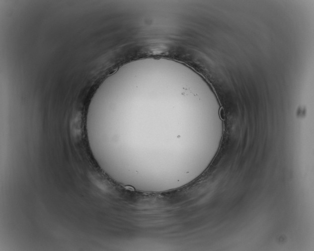 X0000101681442200807241335