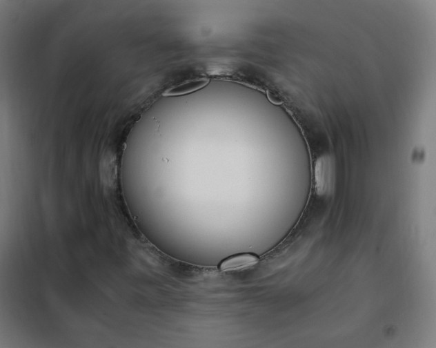 X0000101681443200807241335