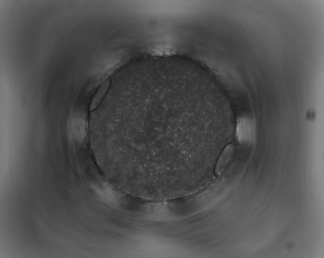 X0000101681444200807241335