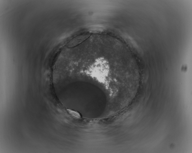 X0000101681445200807241335