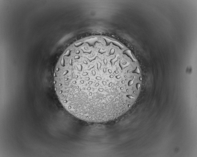 X0000101681446200807241335