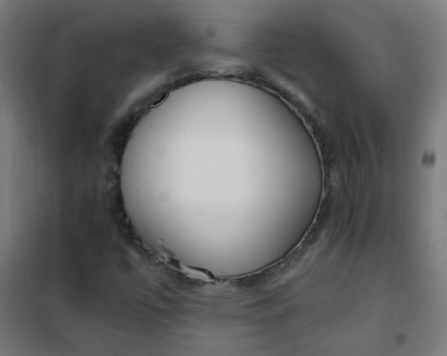 X0000101681447200807241335