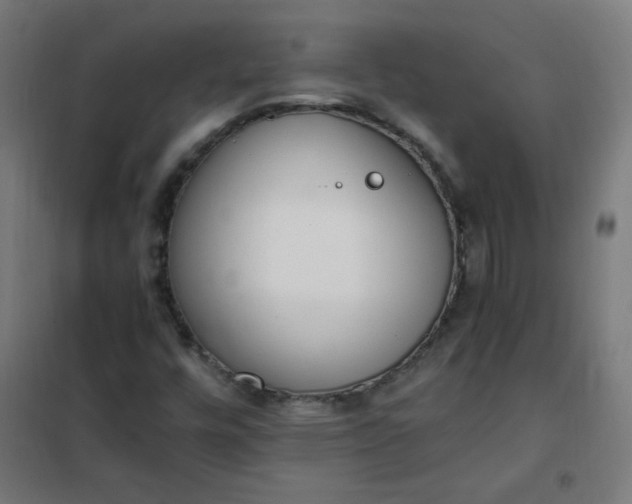 X0000101681448200807241335