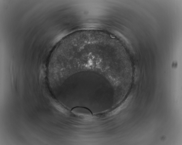 X0000101681449200807241335