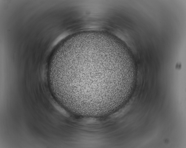 X0000101681450200807241335