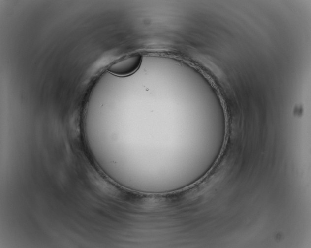 X0000101681451200807241335