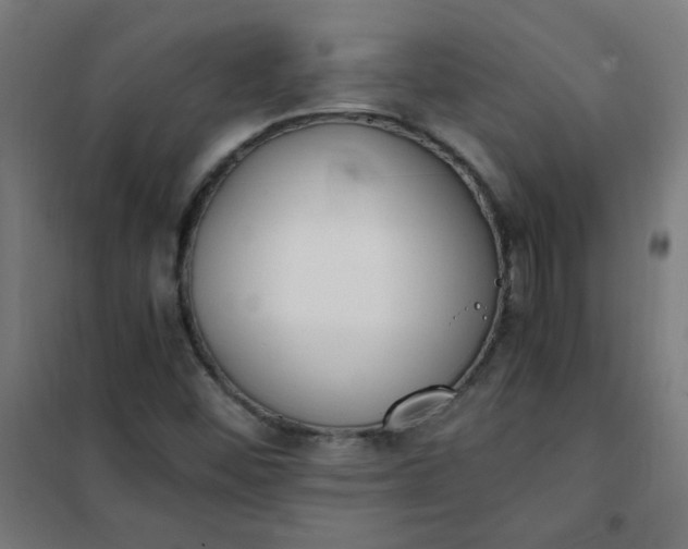 X0000101681452200807241334