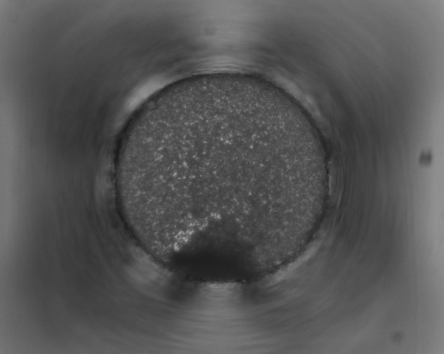 X0000101681453200807241334