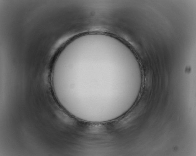 X0000101681454200807241334