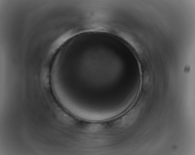 X0000101681455200807241334