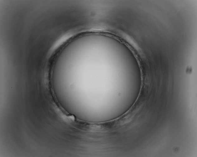 X0000101681456200807241334