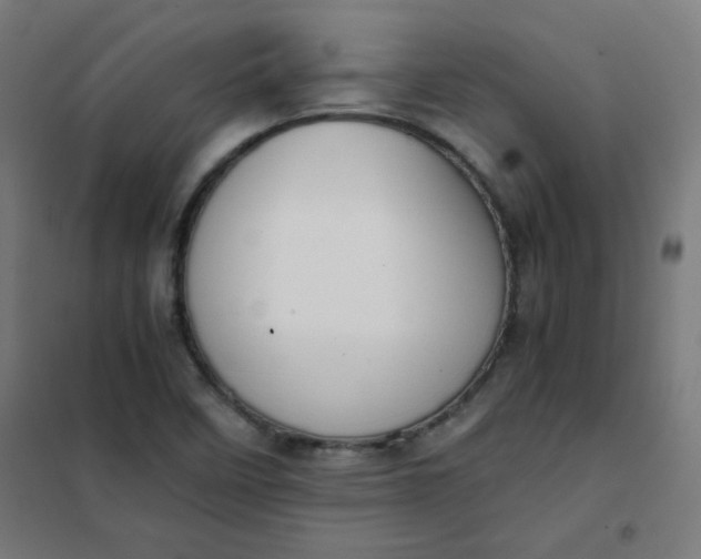 X0000101681458200807241334