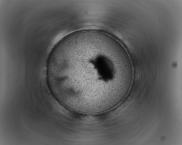 X0000101681459200807241334