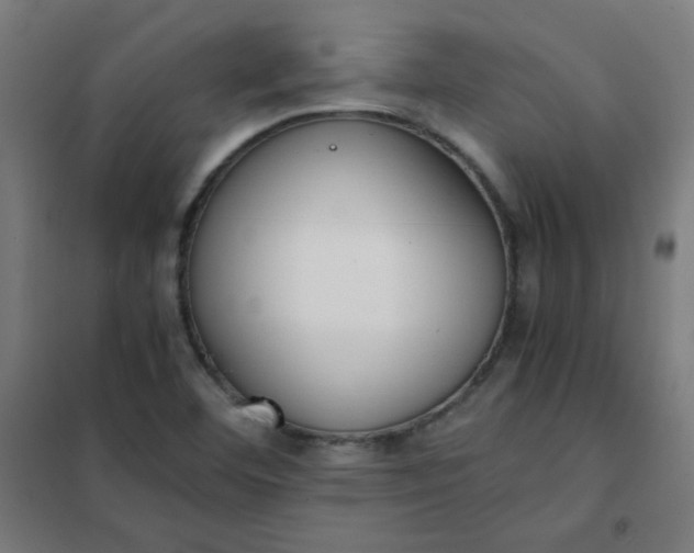 X0000101681460200807241334