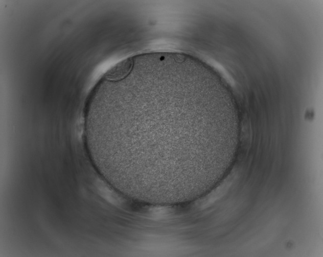 X0000101681461200807241334