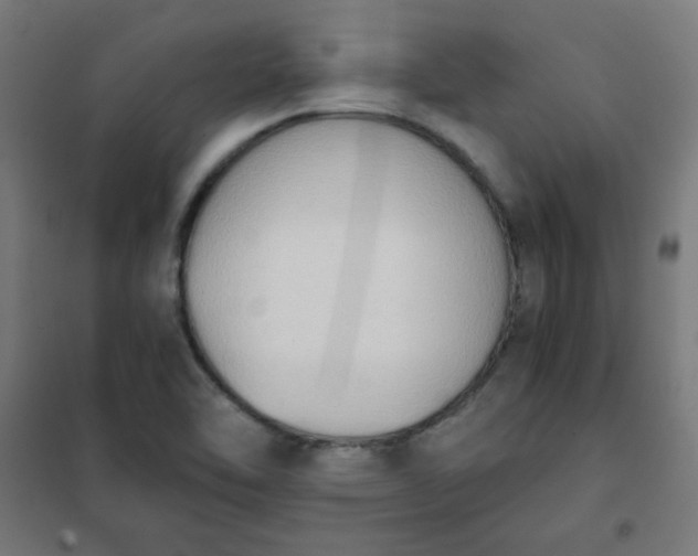 X0000101681462200807241334