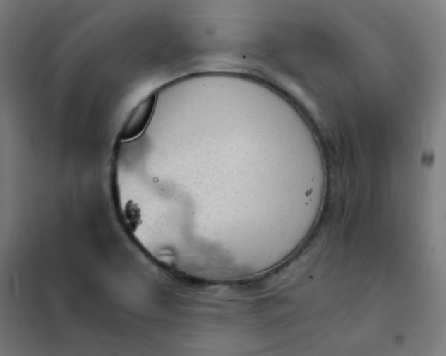 X0000101681463200807241334