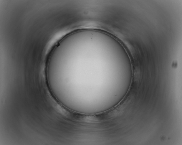 X0000101681464200807241334