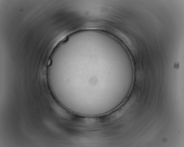 X0000101681465200807241334