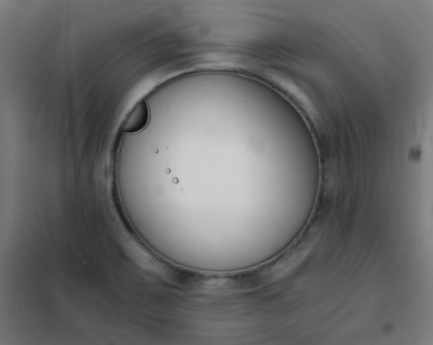 X0000101681467200807241334