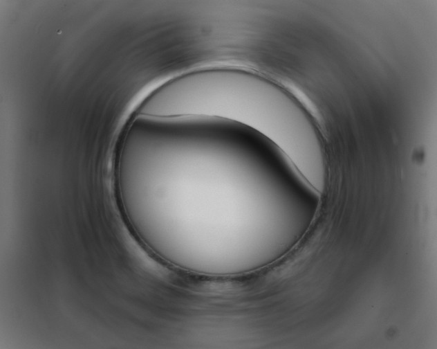 X0000101681468200807241334