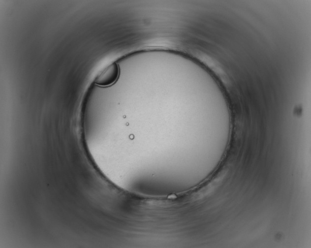 X0000101681469200807241334