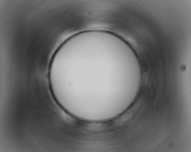 X0000101681470200807241334