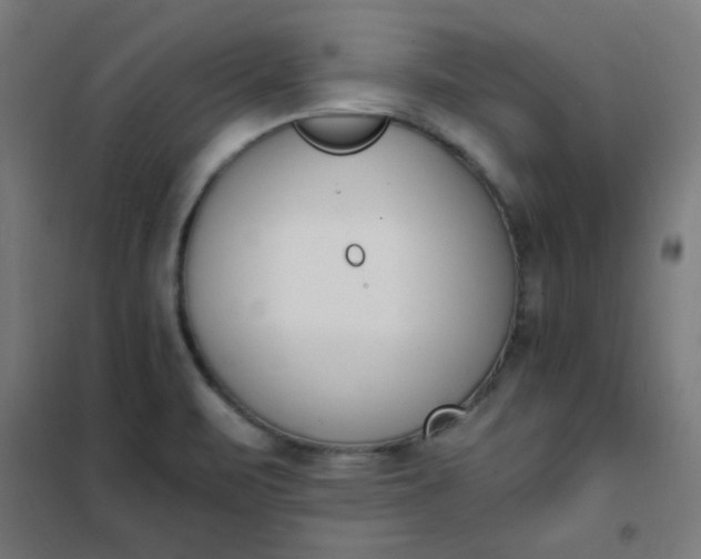 X0000101681471200807241334