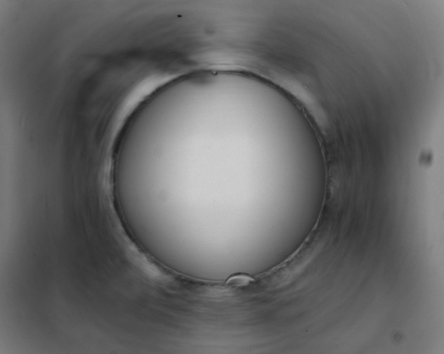 X0000101681472200807241334