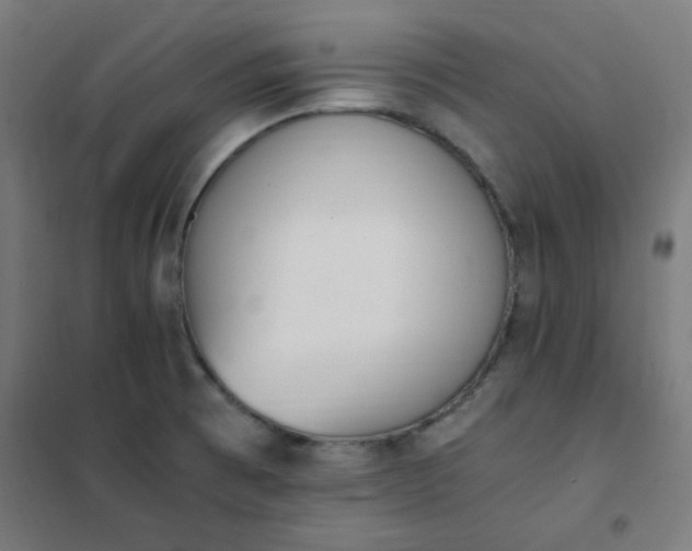 X0000101681473200807241334