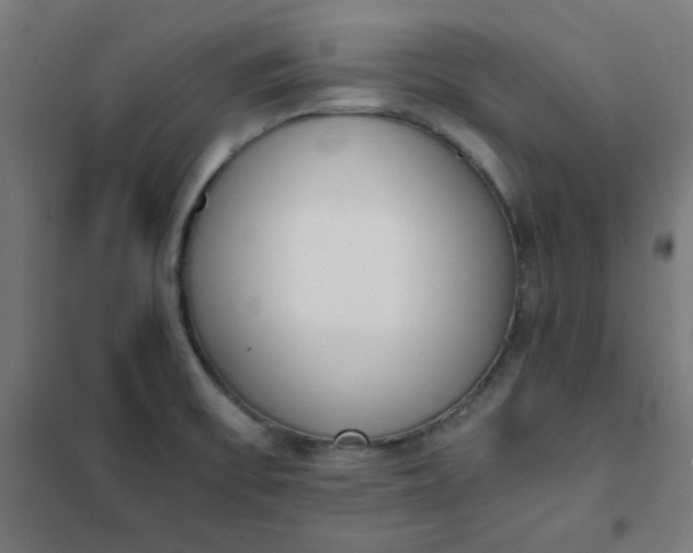 X0000101681475200807241334