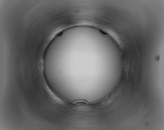 X0000101681476200807241334