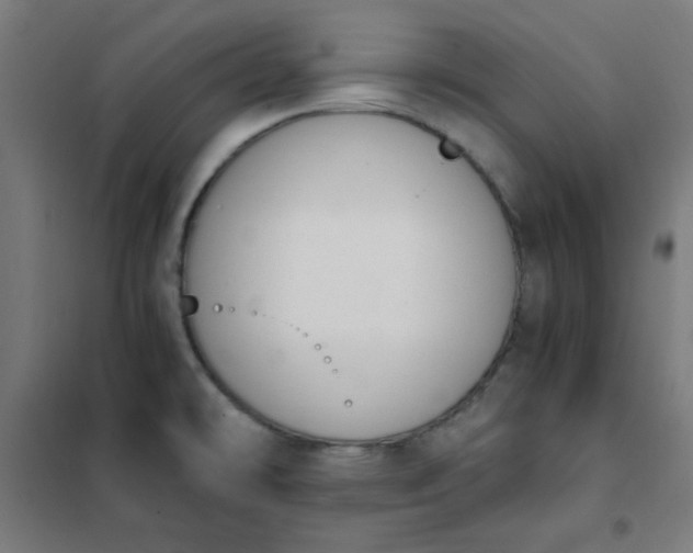 X0000101681478200807241334