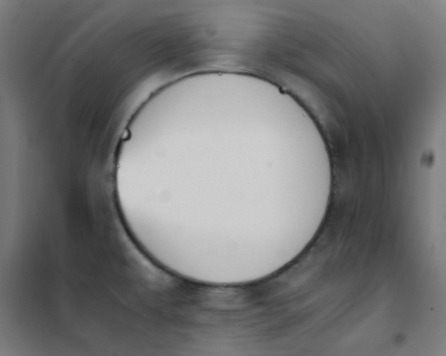 X0000101681479200807241334