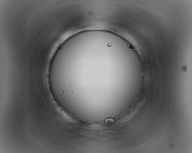 X0000101681480200807241334