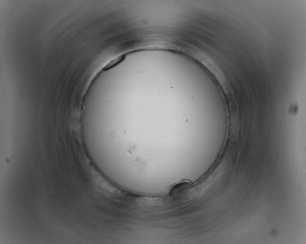 X0000101681481200807241334