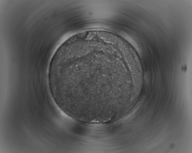 X0000101681482200807241334