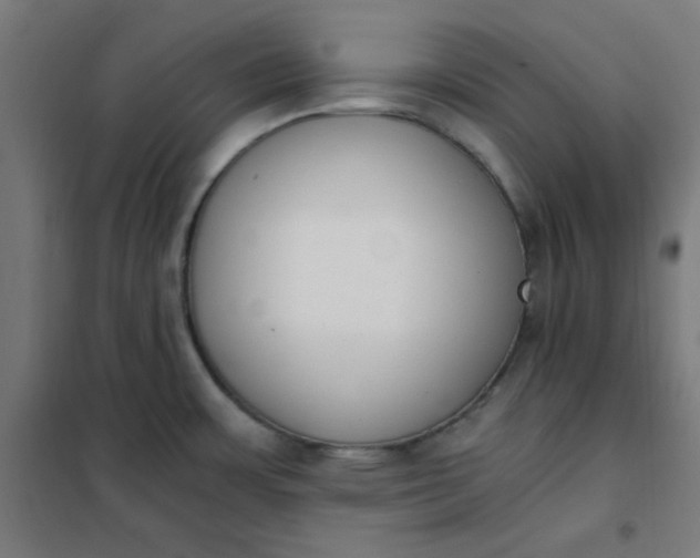 X0000101681483200807241334