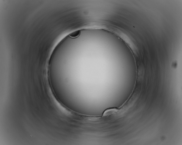 X0000101681484200807241334