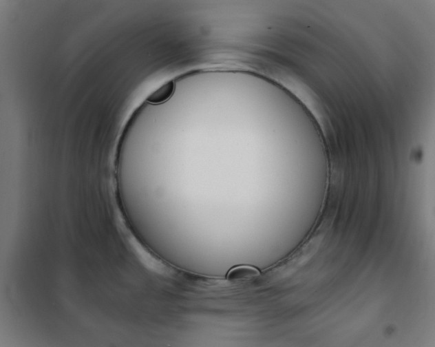 X0000101681485200807241334