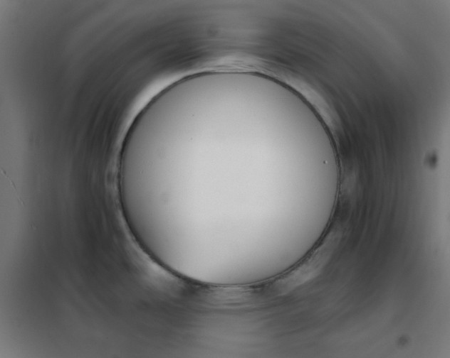 X0000101681486200807241334