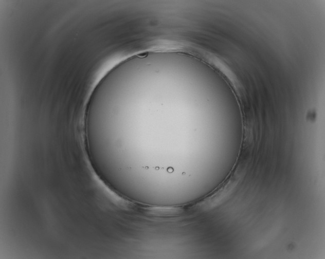 X0000101681487200807241334