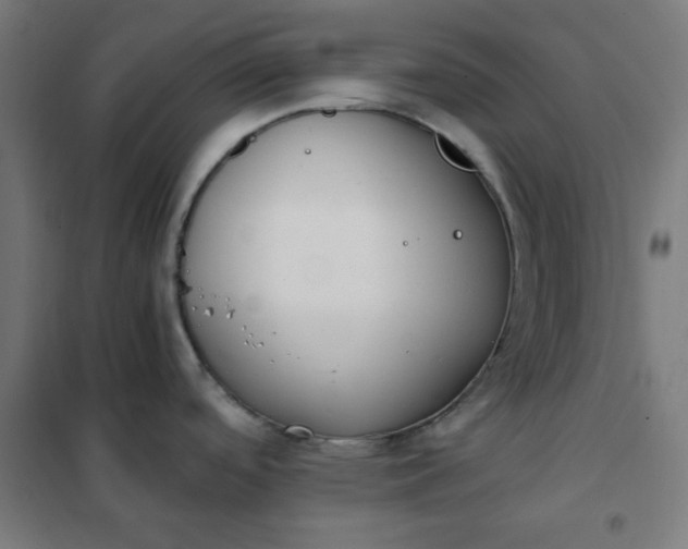 X0000101681488200807241334