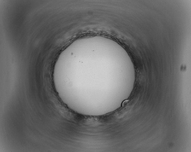 X0000101681489200807241333