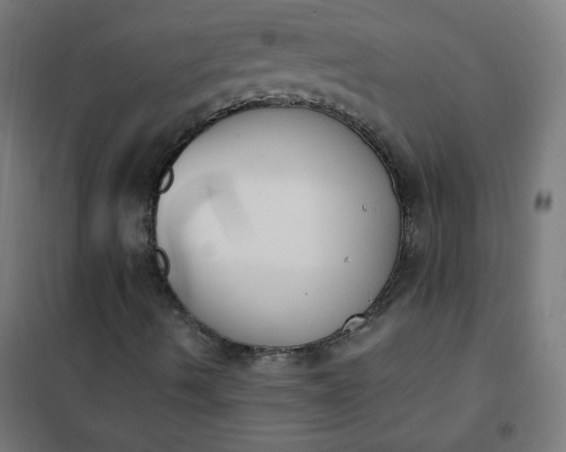 X0000101681490200807241333