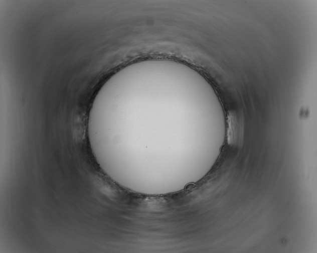 X0000101681491200807241333